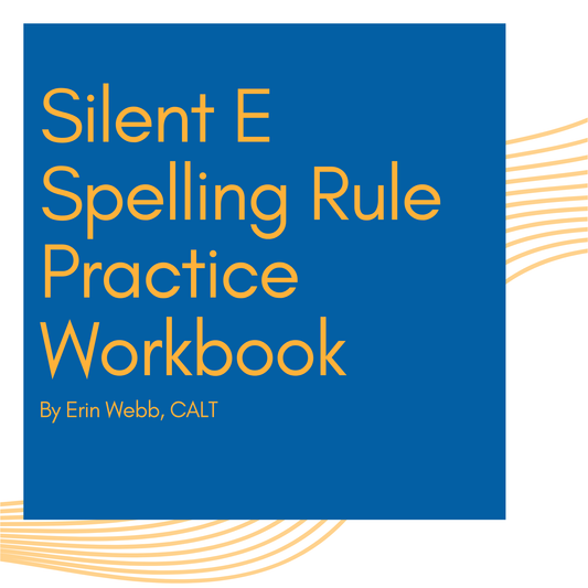 Silent E Spelling Rule Workbook